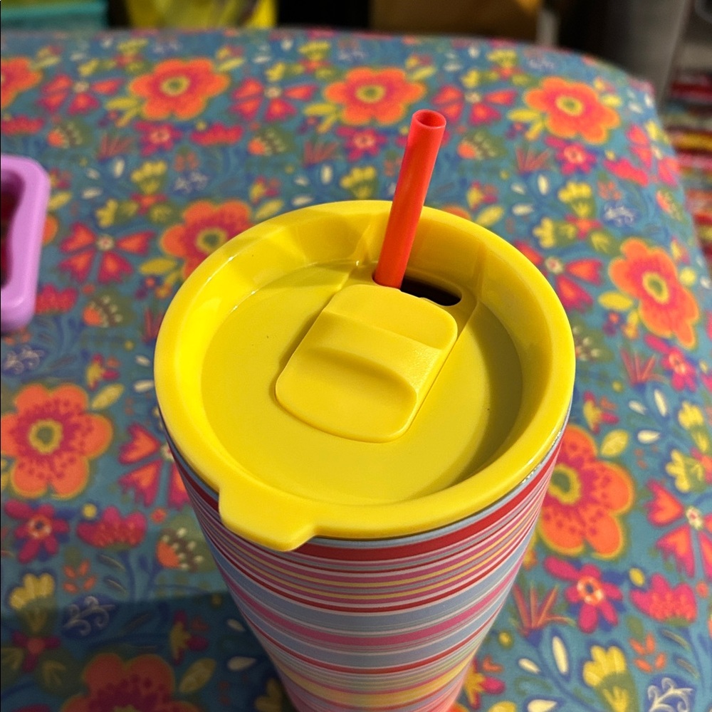 Scout Multicolor Striped Tumbler with Straw - Picture 4 of 6